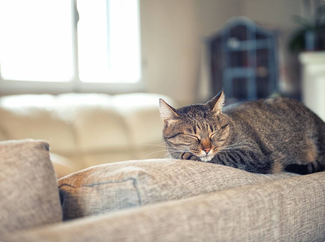 Qu'est-ce que le rachat de crédits immobilier ?